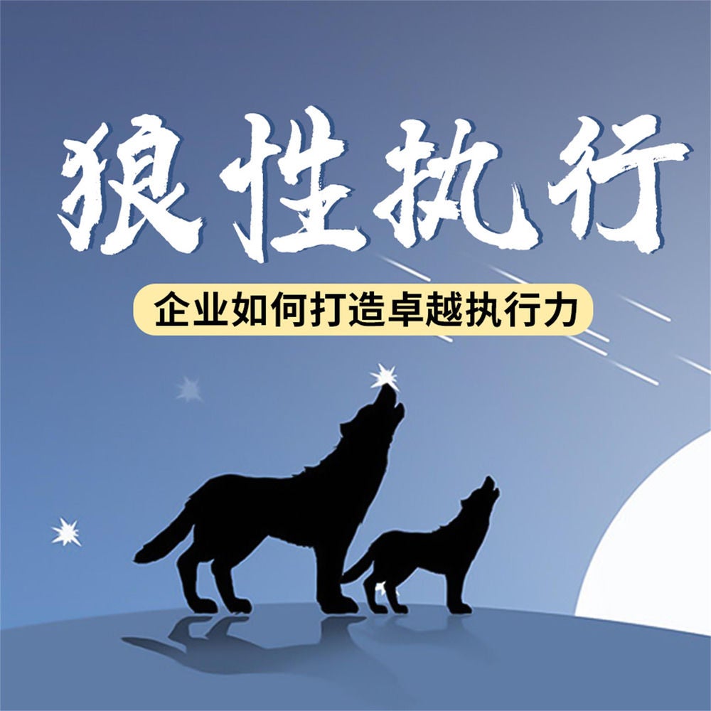 狼性执行：企业如何打造卓越执行力