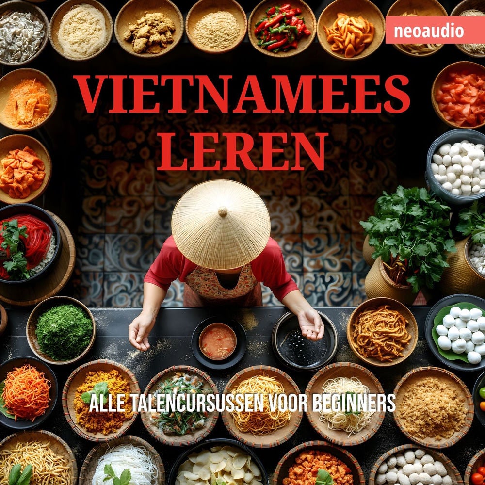 Vietnamees leren