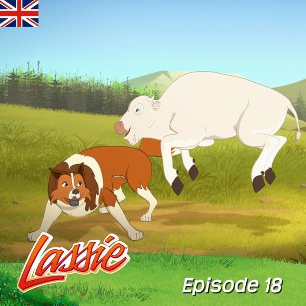 Episode 18: A Rare Sighting