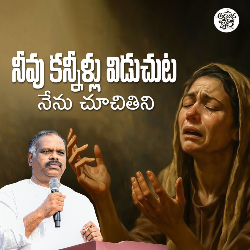 Neevu Kannillu Viduchuta Nenu Chuchitini