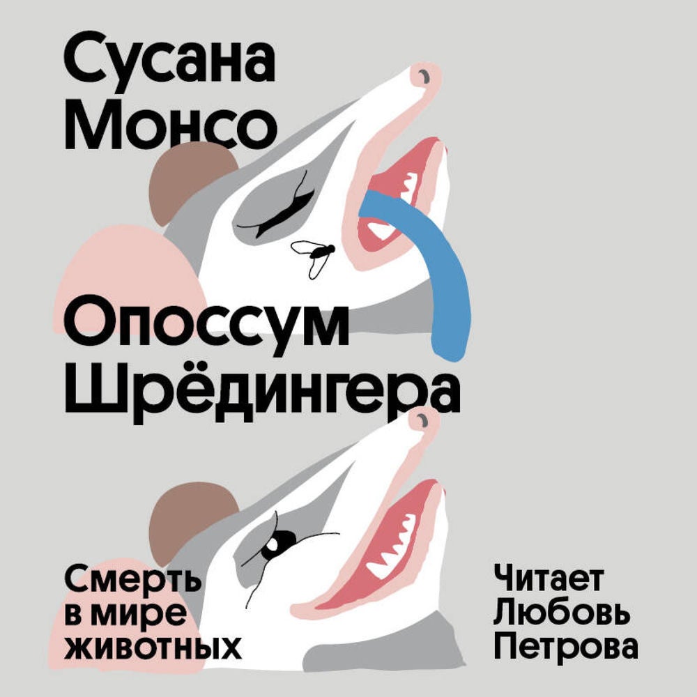 Опоссум Шредингера