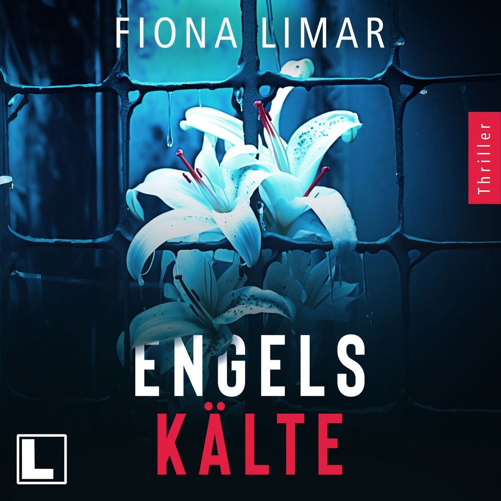 Engelskälte - Psychiatrie-Thriller, Band 2