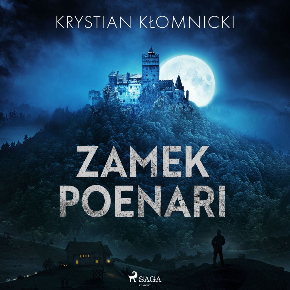 Zamek Poenari