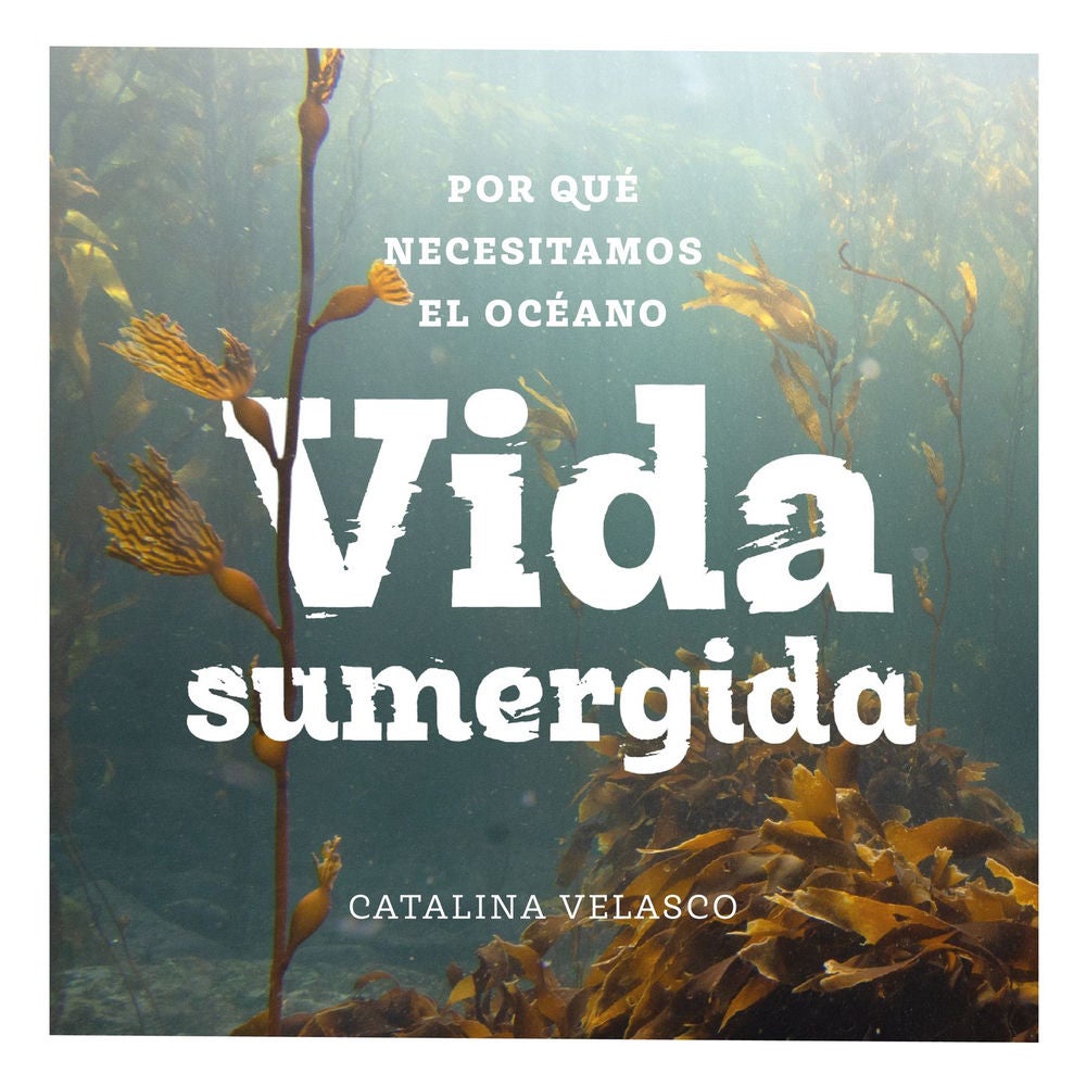 Vida sumergida