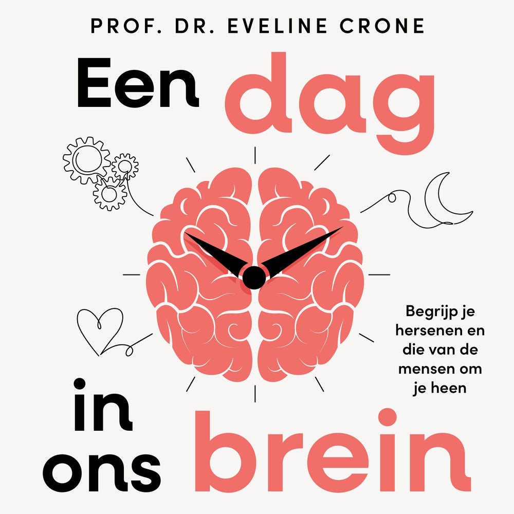 Een dag in ons brein