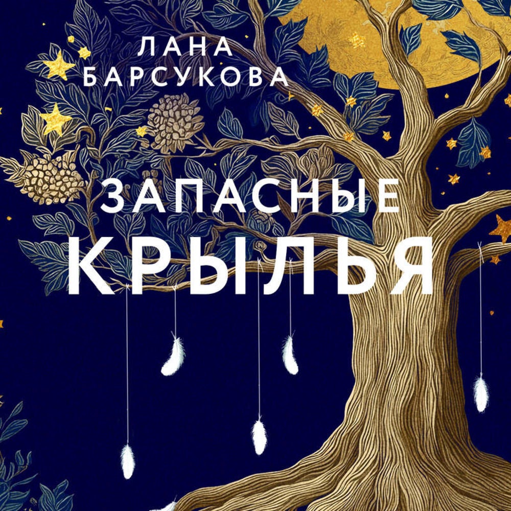Запасные крылья