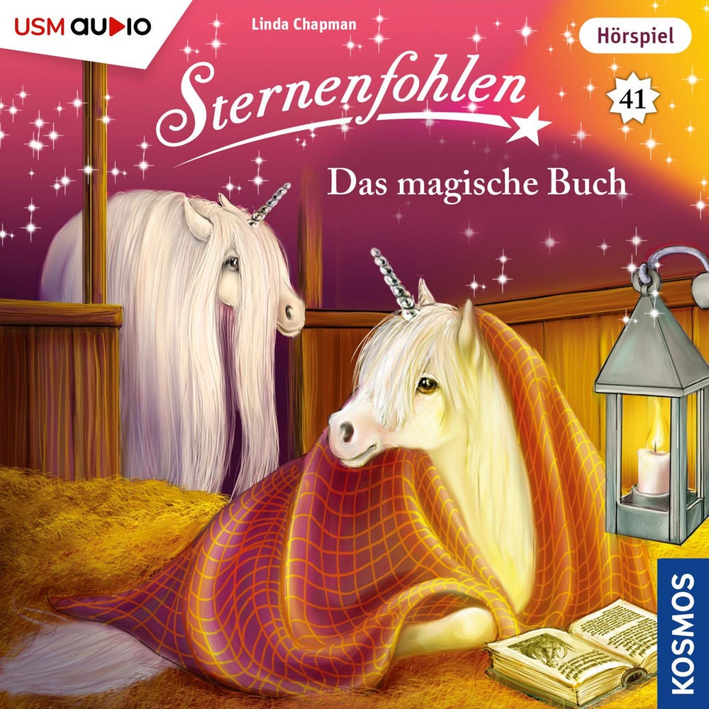 Teil 41: Das magische Buch