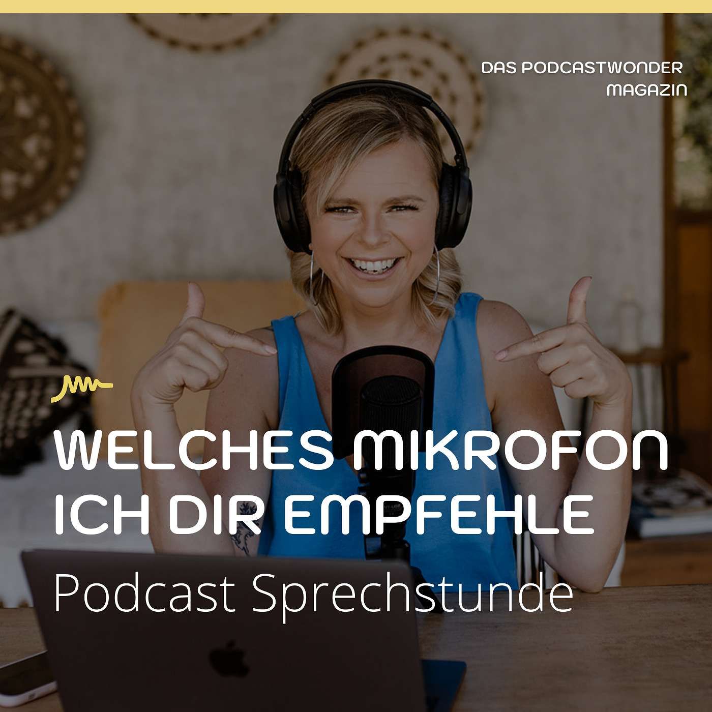Welches Mikrofon ich Dir empfehle