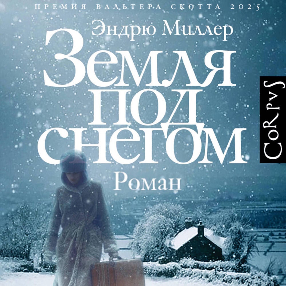 Земля под снегом