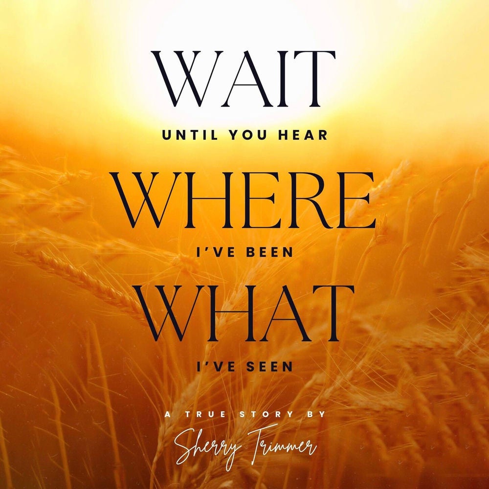 Wait Until You Hear, Where I've Been, What I've Seen - A True Story