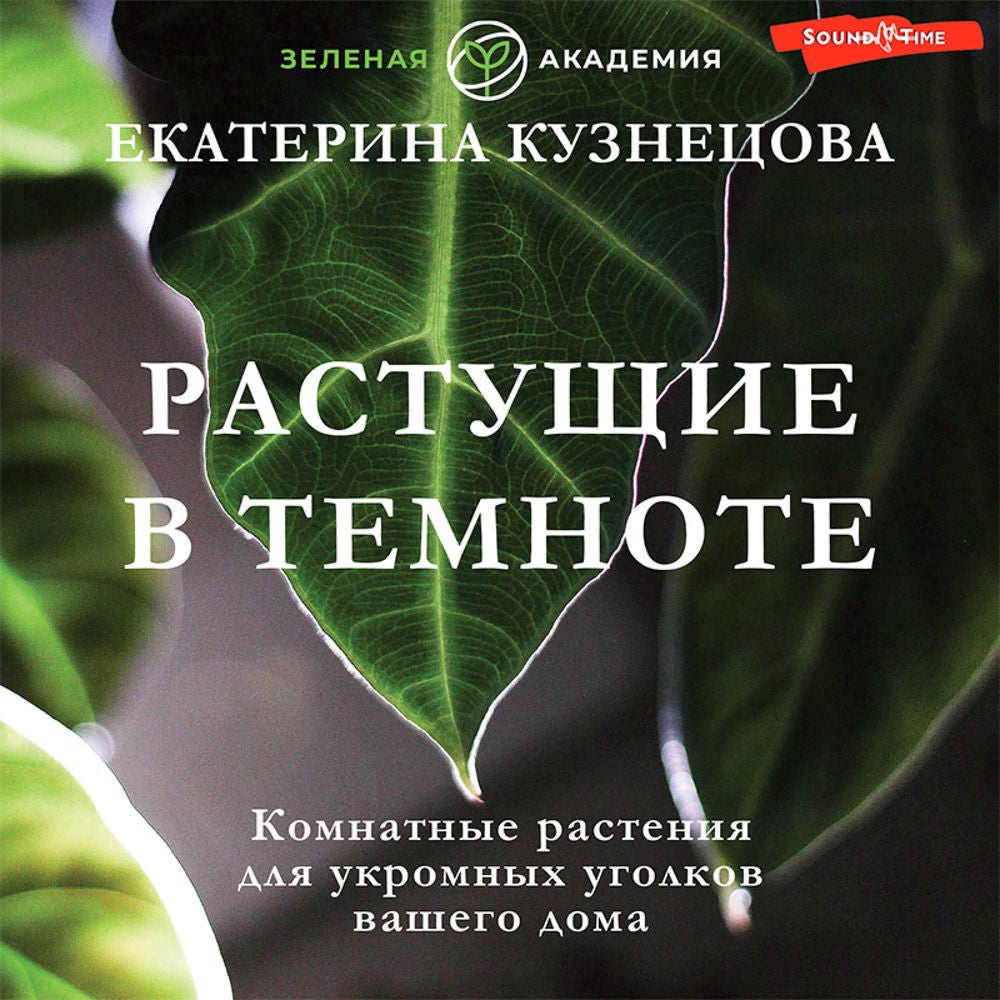 Растущие в темноте. Комнатные растения для укромных уголков вашего дома
