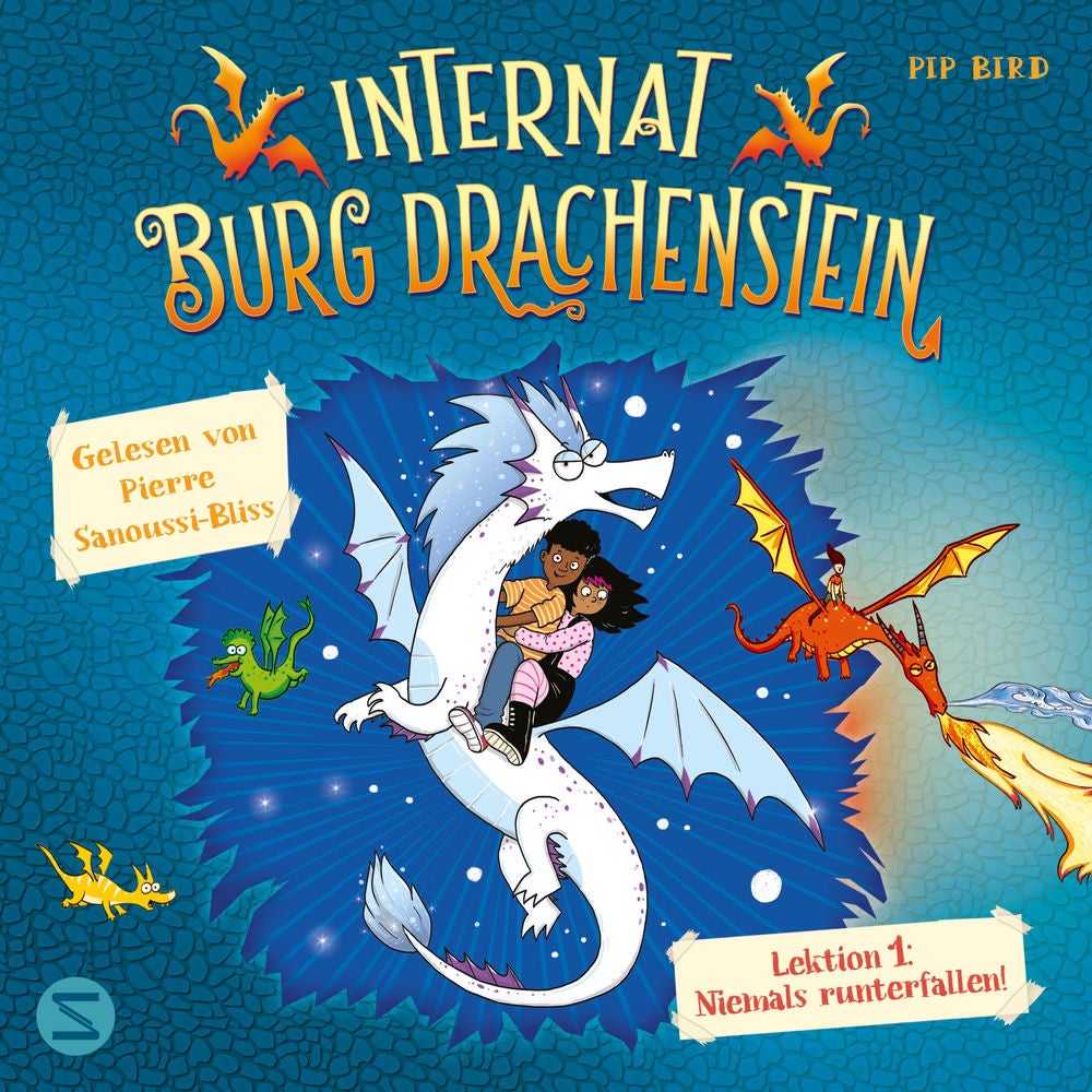 Internat Burg Drachenstein. Drachenreiten Lektion 1: Niemals runterfallen!