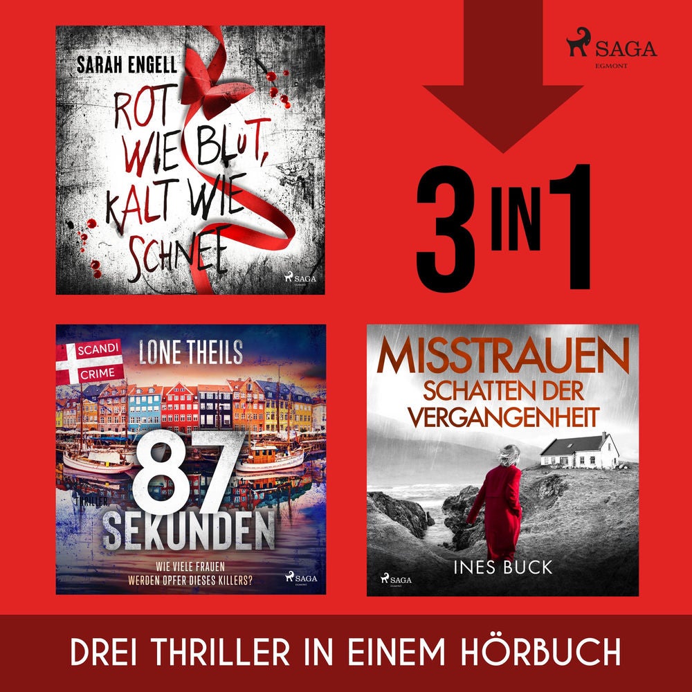 Rot wie Blut, Kalt wie Schnee, 87 Sekunden & Misstrauen - Schatten der Vergangenheit