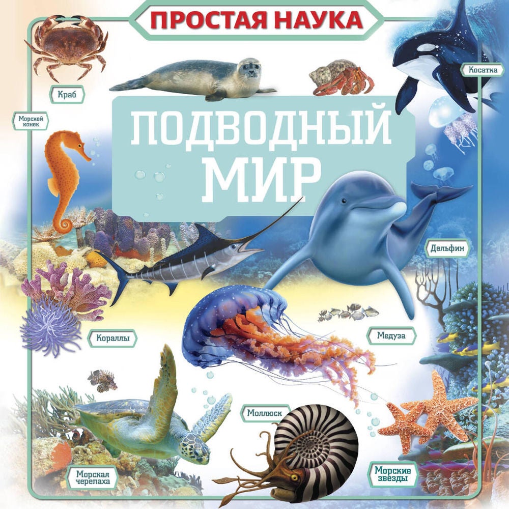 Подводный мир