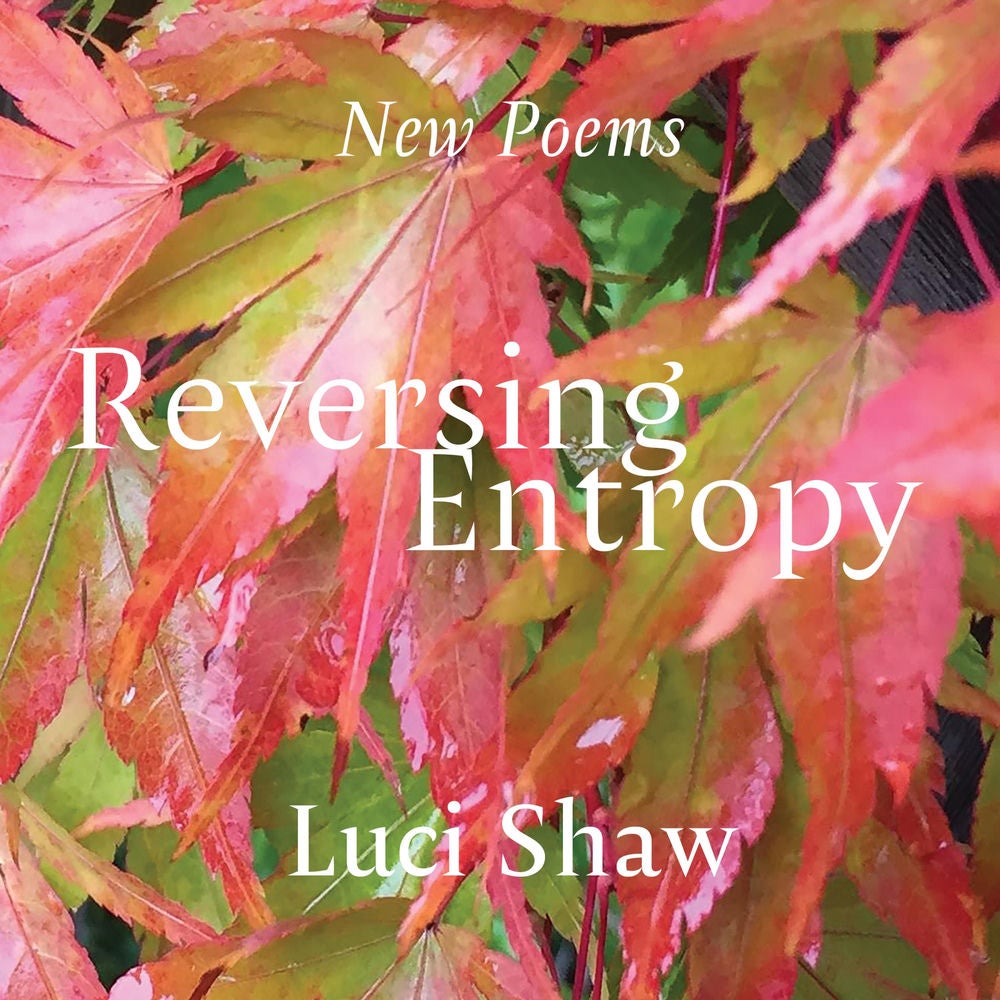 Reversing Entropy