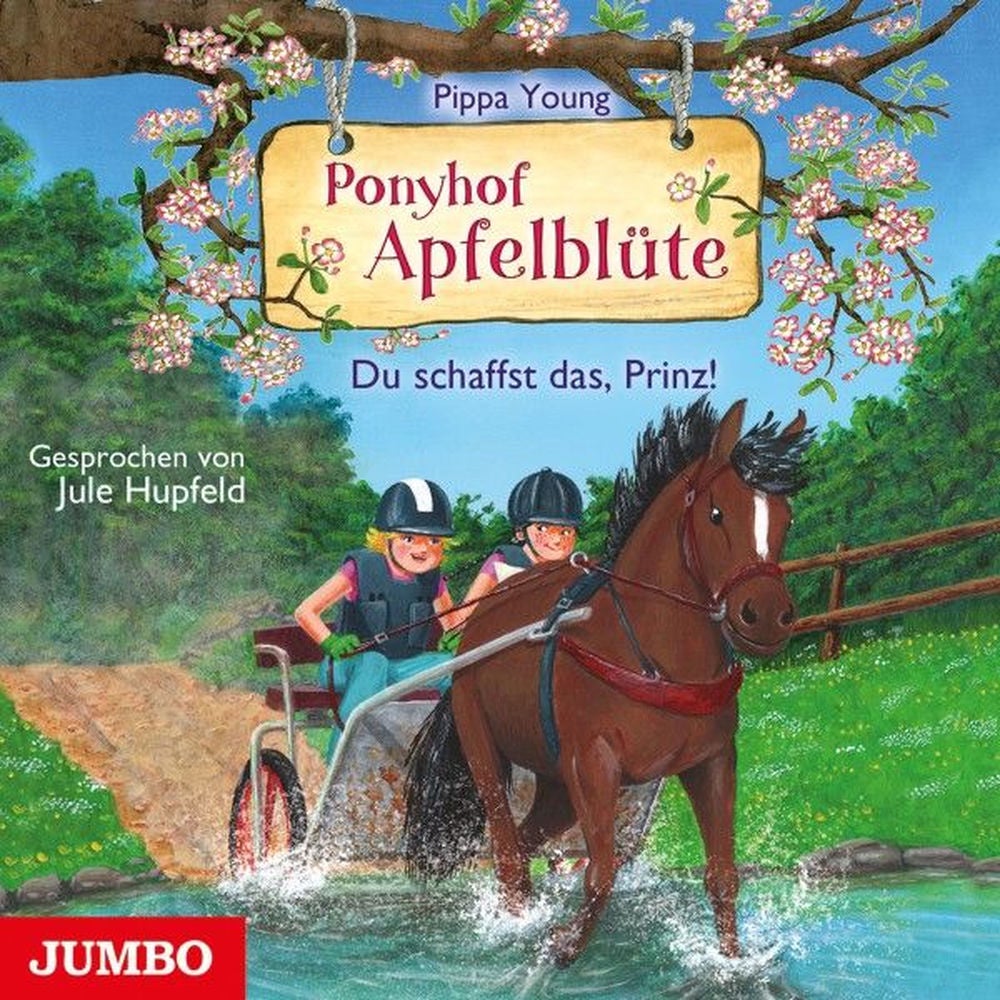 Ponyhof Apfelblüte. Du schaffst das, Prinz! (Band 19)