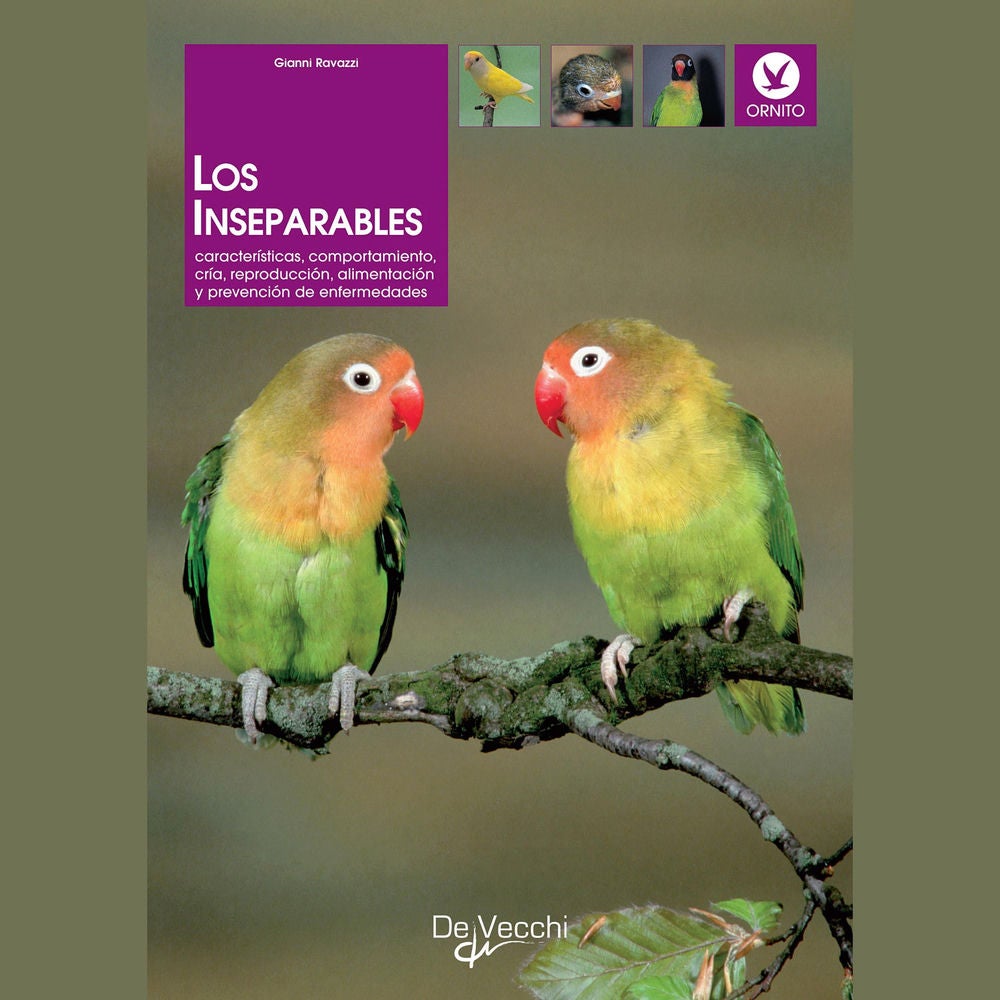 Los inseparables