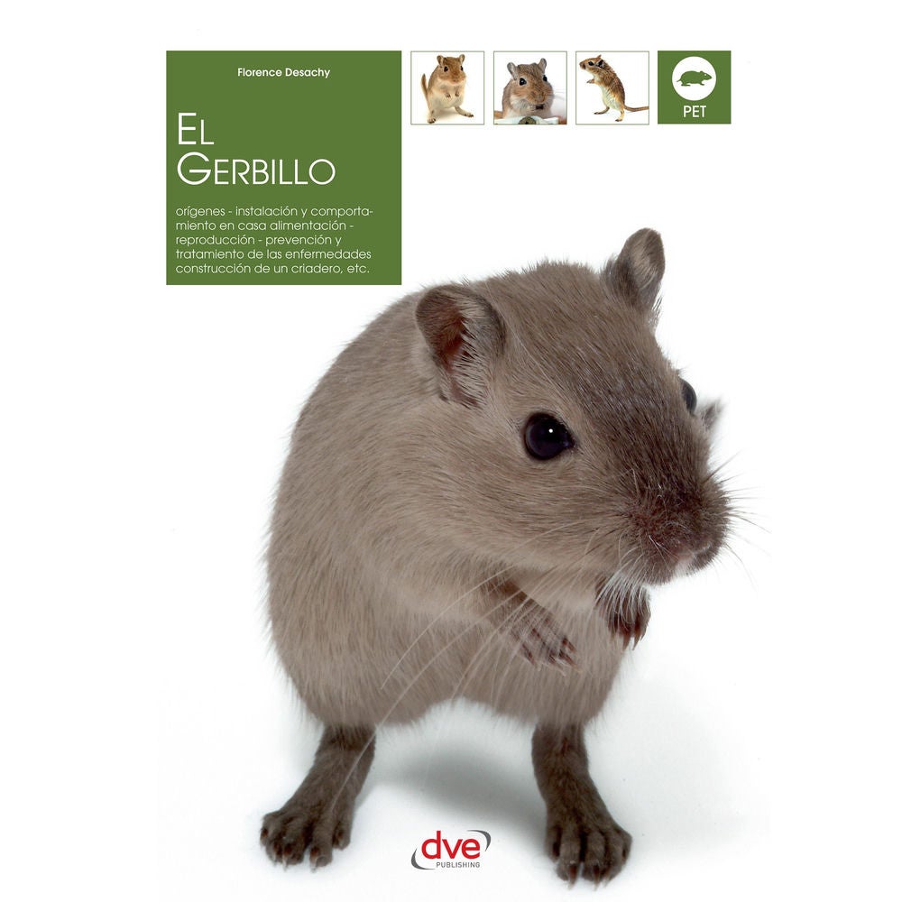 El gerbillo