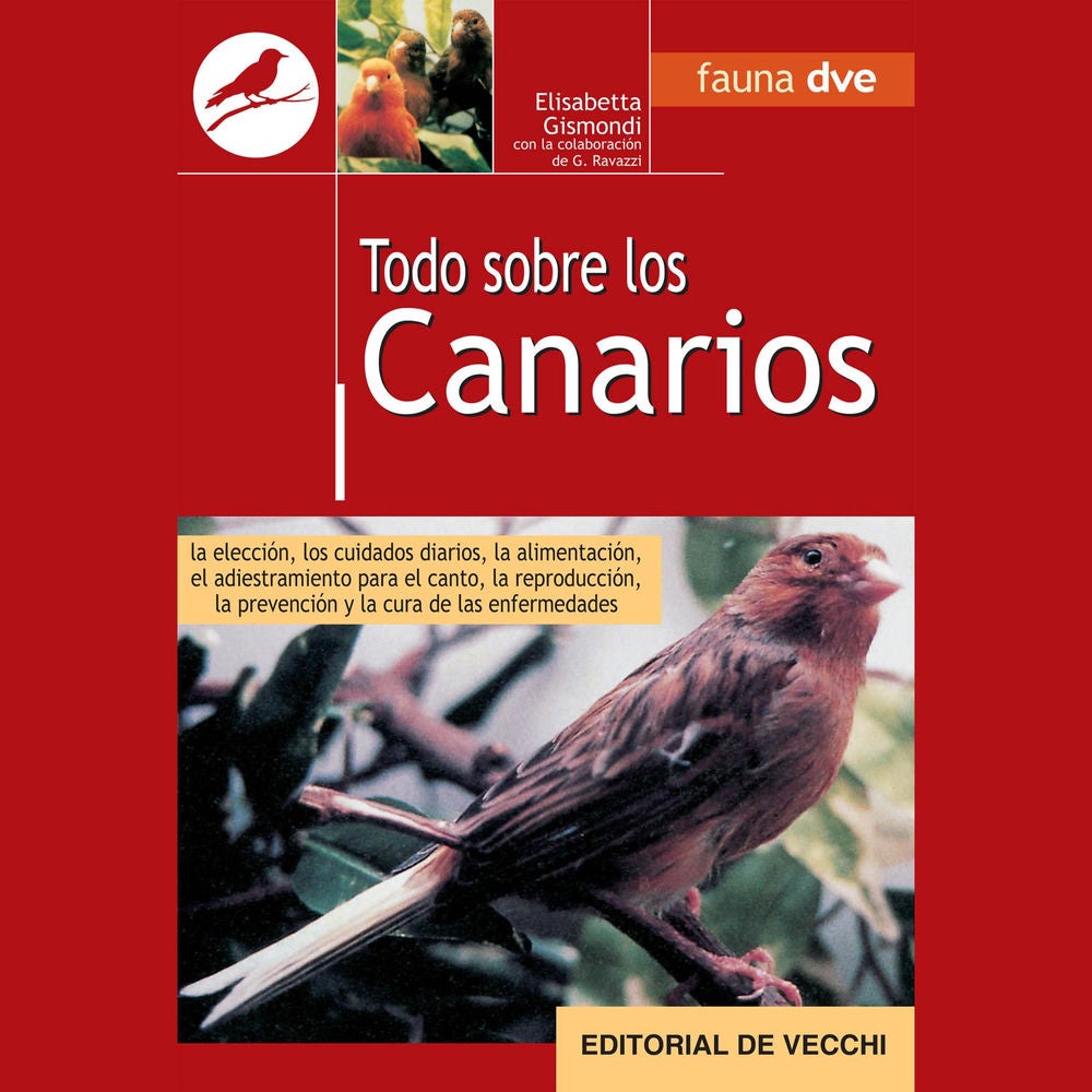 Todo sobre canarios