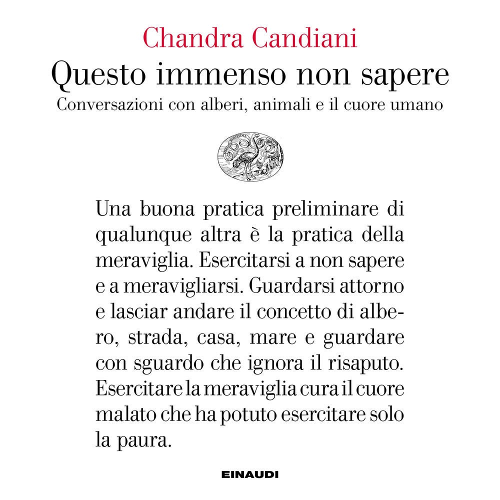 Questo immenso non sapere