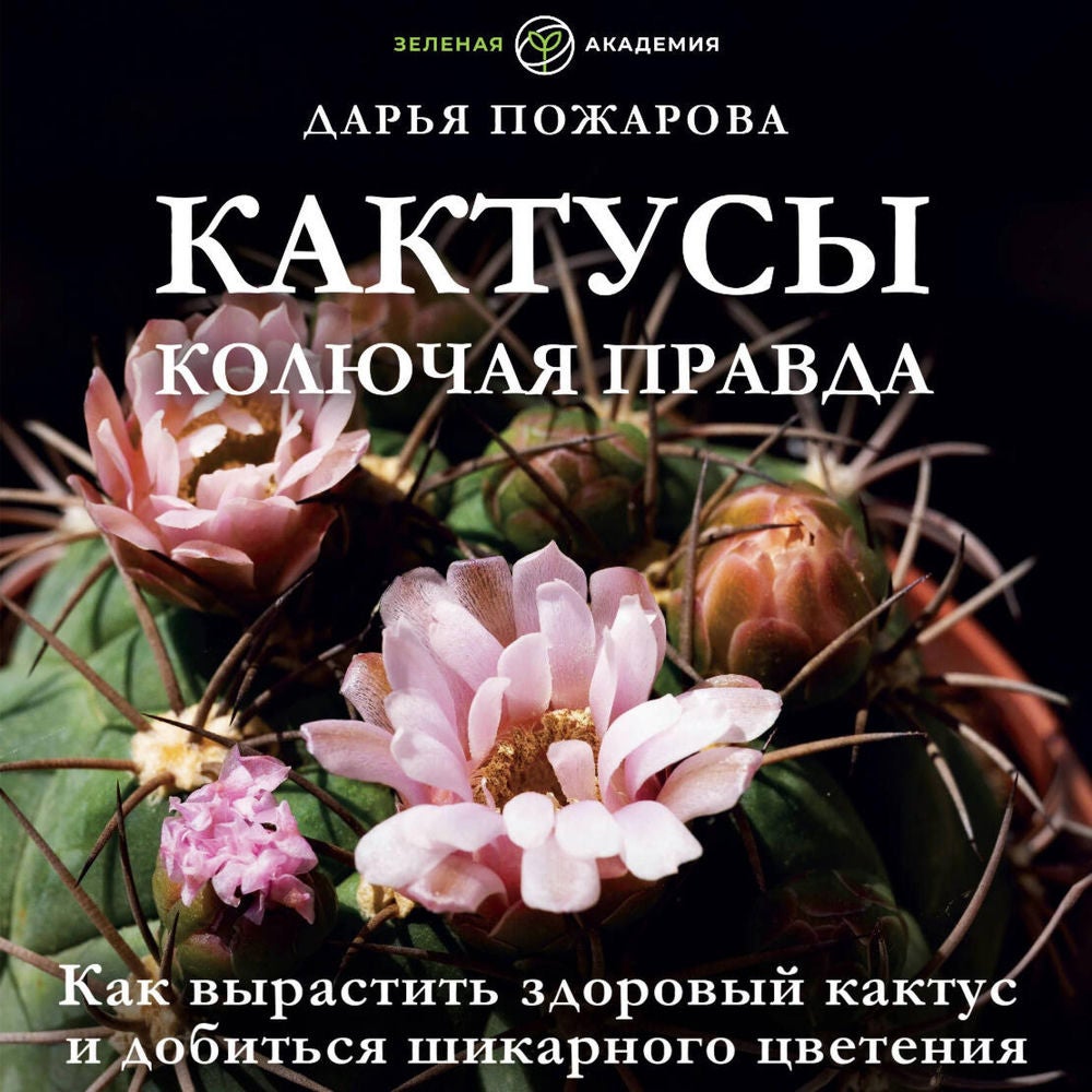 Кактусы. Колючая правда