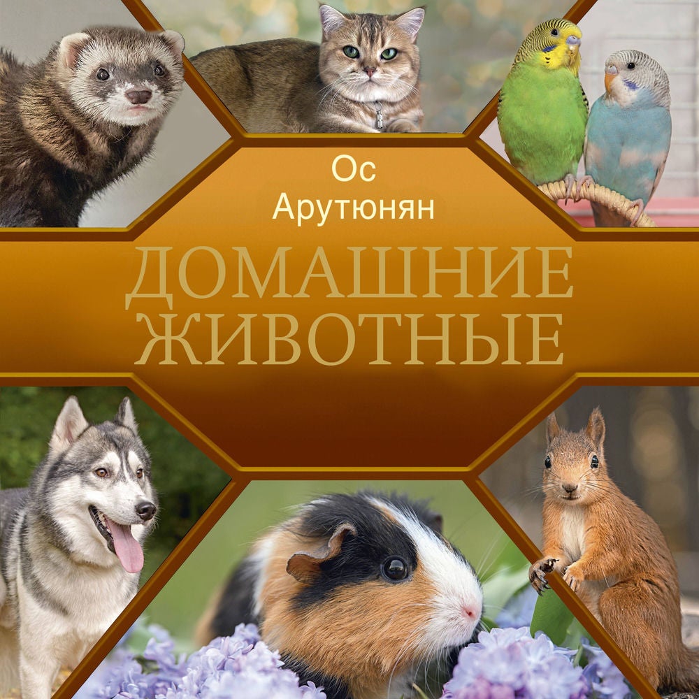 Домашние животные