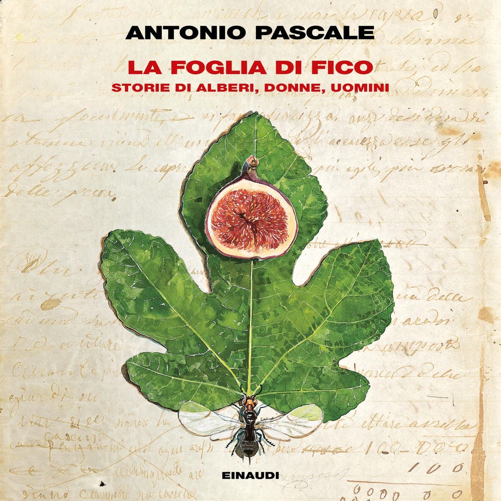 La foglia di fico