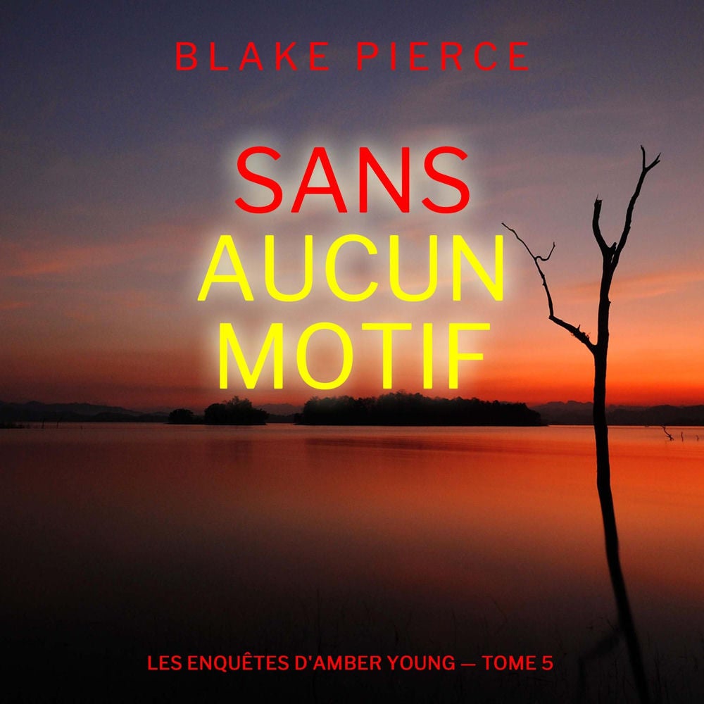 Sans aucun motif (Les Enquêtes d'Amber Young — tome 5)