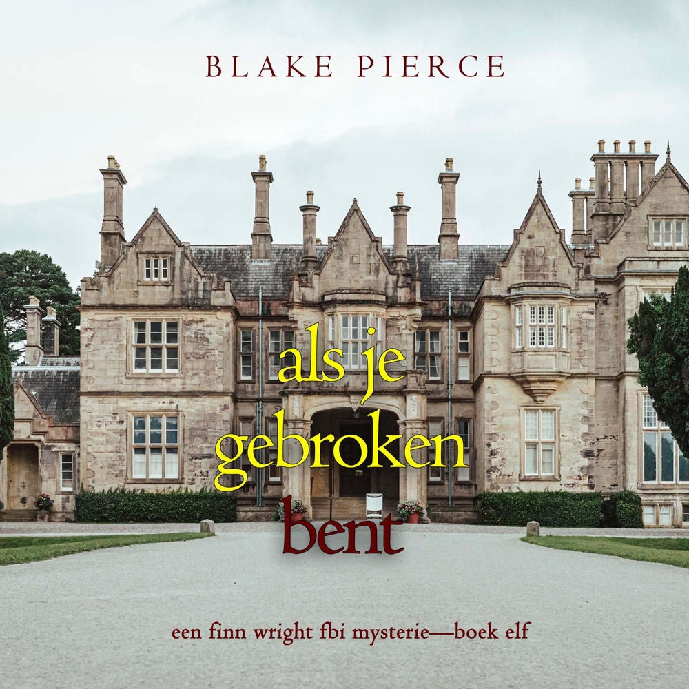 Als je gebroken bent (Een Finn Wright FBI Mysterie—Boek Elf)