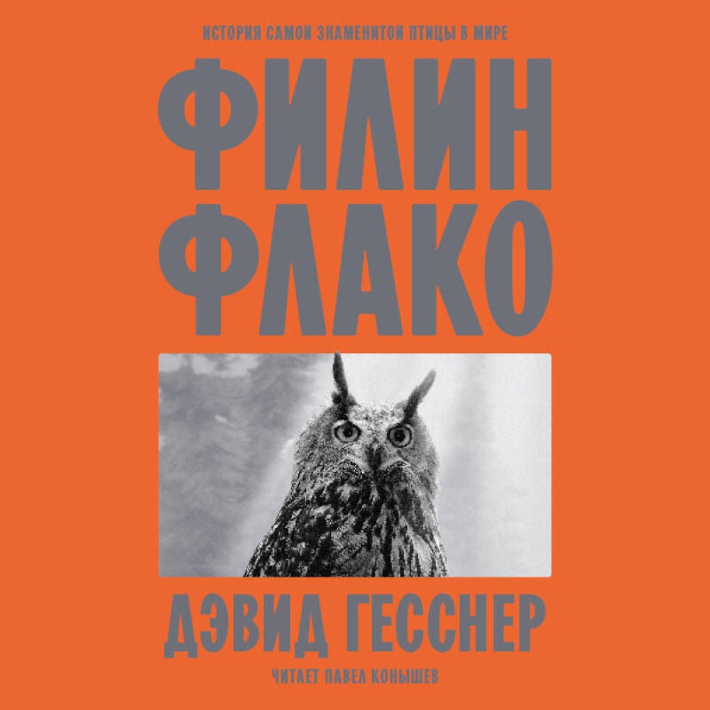 Филин Флако