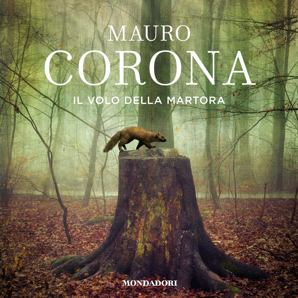 Il volo della martora