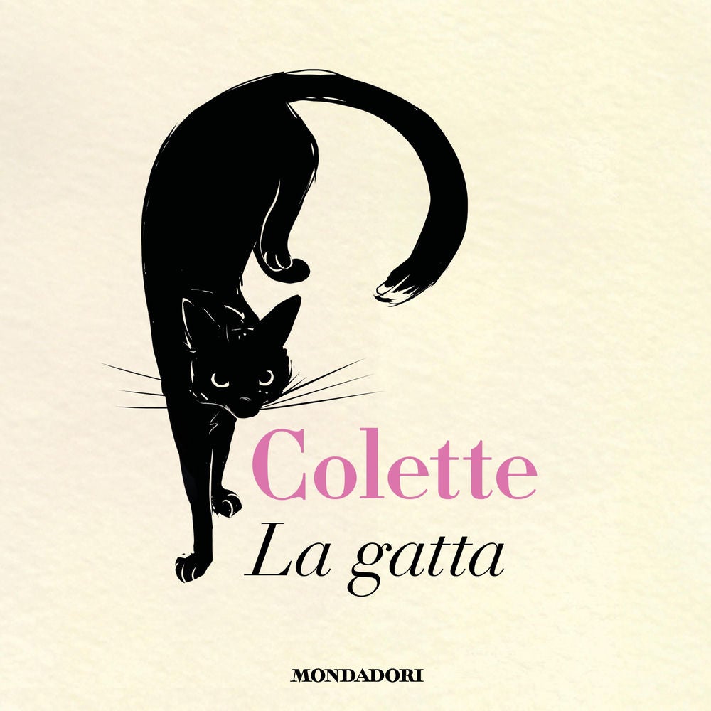 La gatta