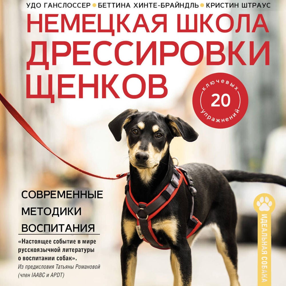 Немецкая школа дрессировки щенков. Современные методики воспитания