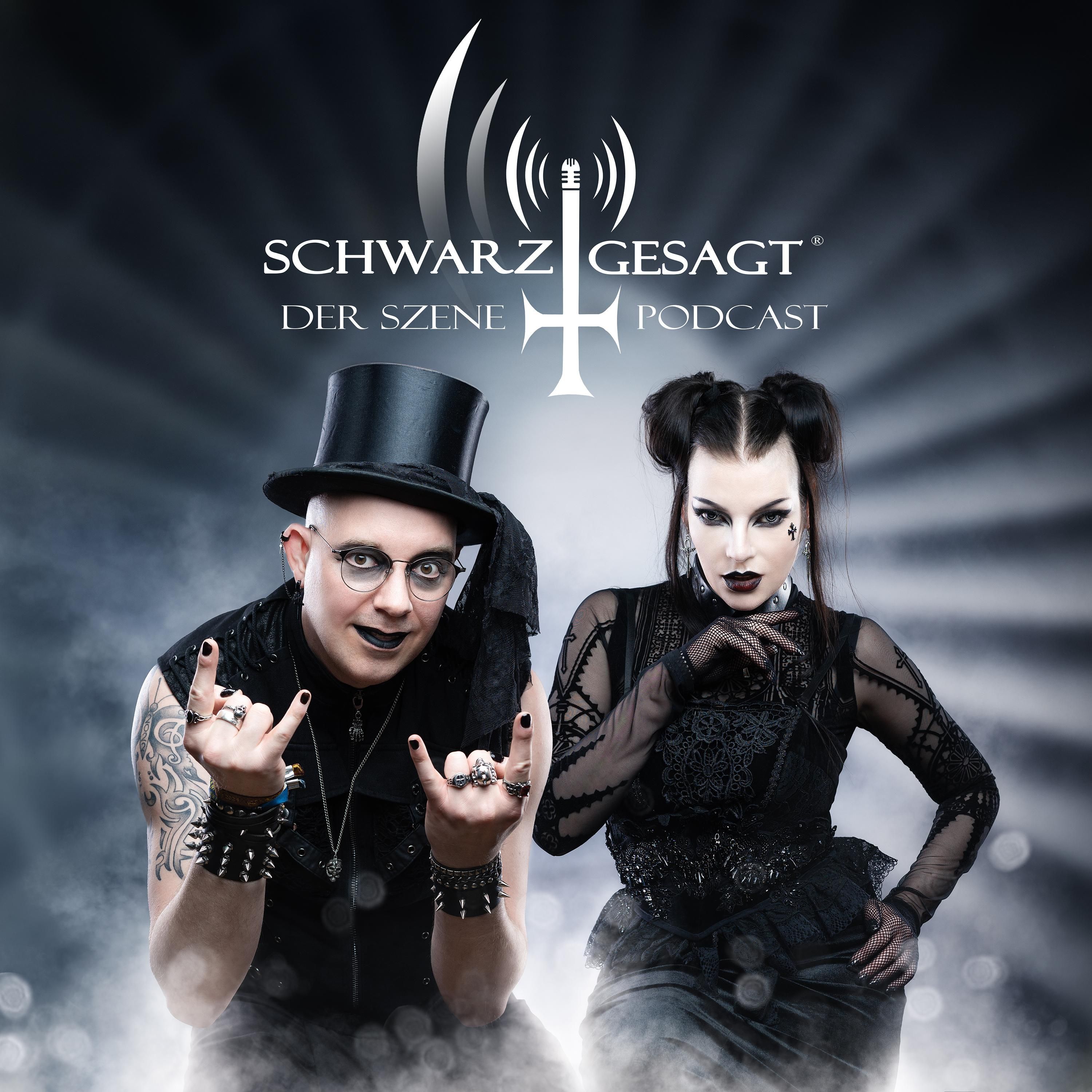 Community vs. Gothip (schwarz & kuschelig VII-1)