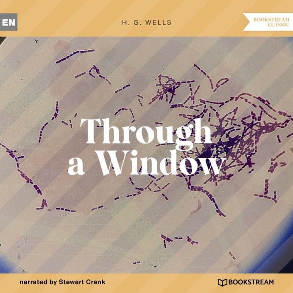 Through a Window