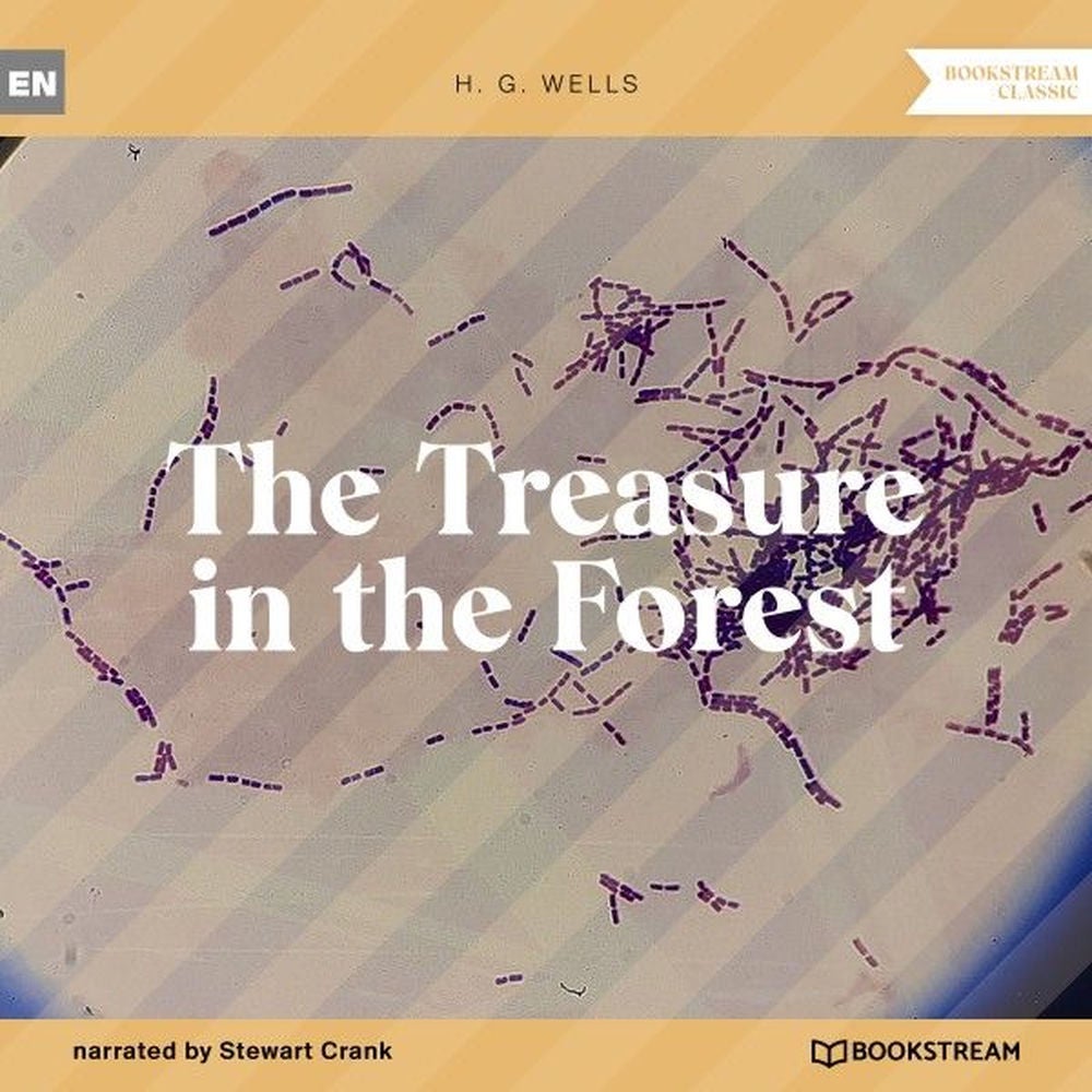 The Treasure in the Forest