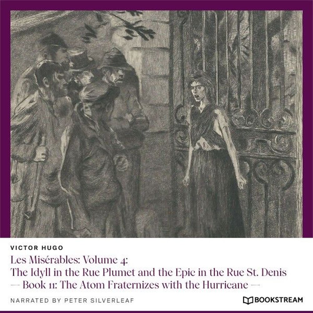 Les Misérables, Volume 4: The Idyll in the Rue Plumet and the Epic in the Rue St. Denis - Book 11: The Atom Fraternizes with the H
