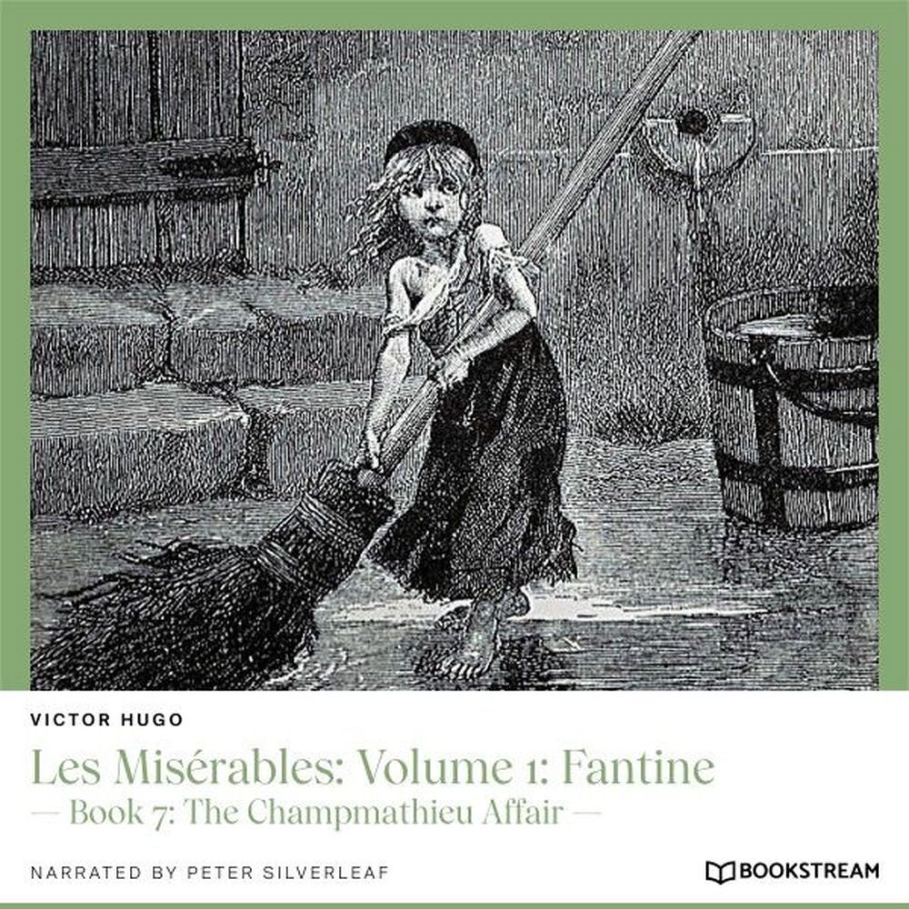 Les Misérables, Volume 1: Fantine - Book 7: The Champmathieu Affair