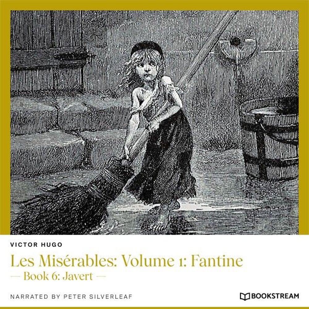 Les Misérables, Volume 1: Fantine - Book 6: Javert