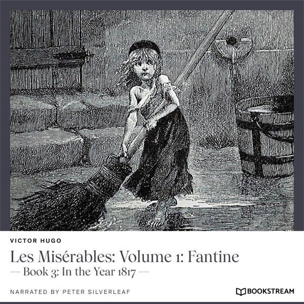 Les Misérables, Volume 1: Fantine - Book 3: In the Year 1817