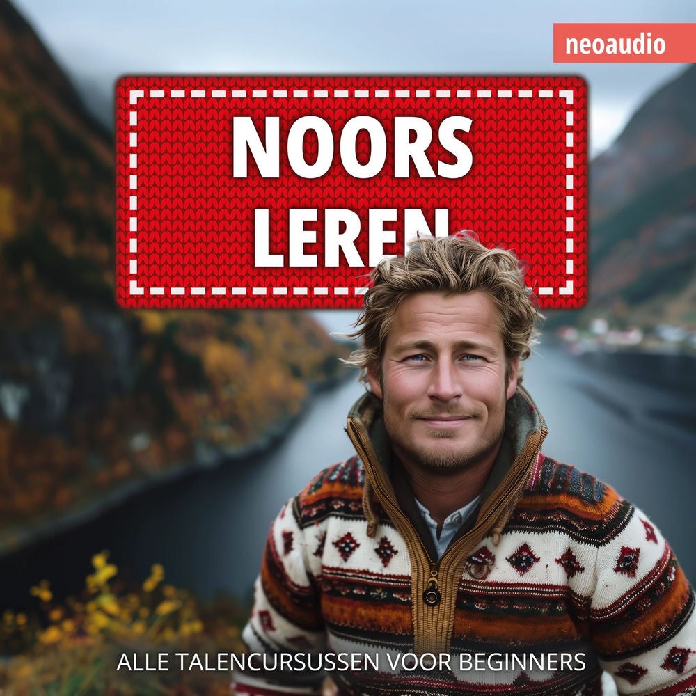 Noors leren