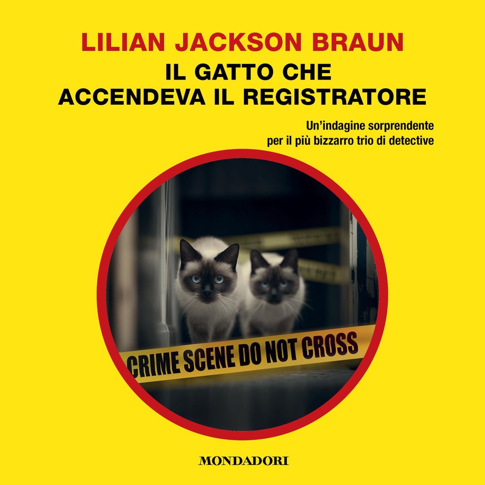 Il gatto che accendeva il registratore