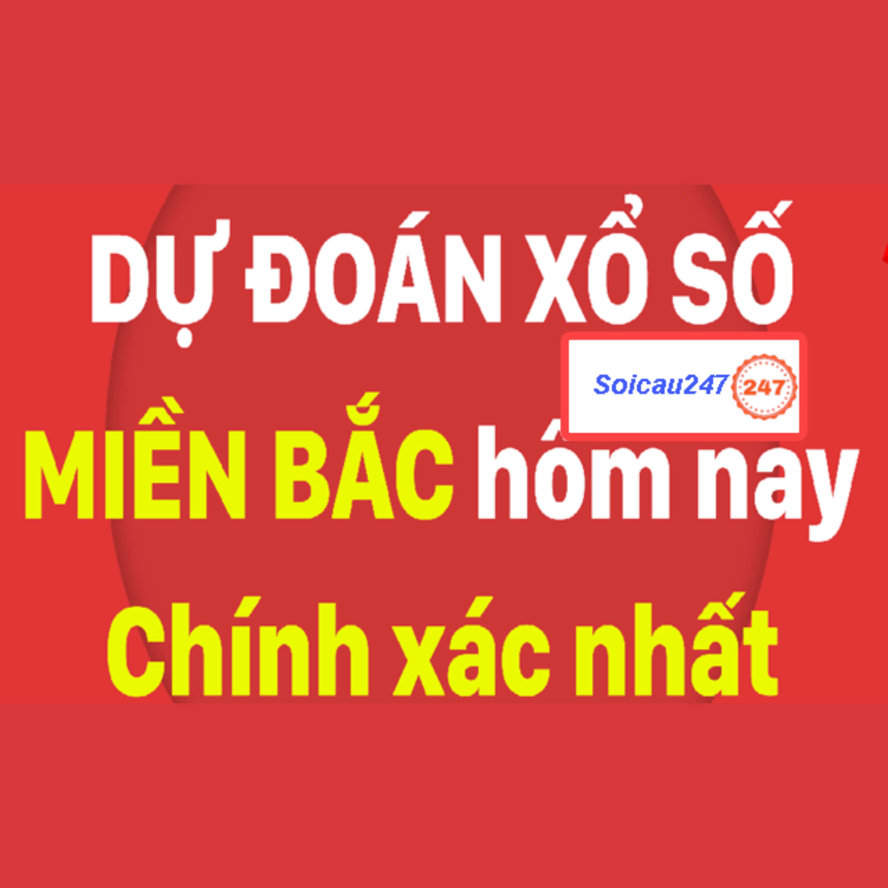 Hành Trình Soi Cầu Cùng Chuyên Gia: Từ Đam Mê Đến Thành Công
