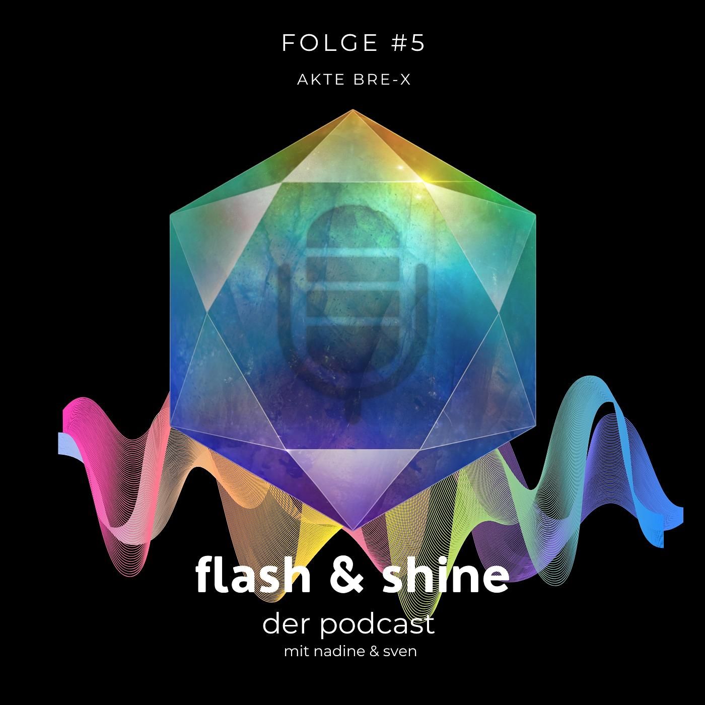 Folge #5 Akte Bre X