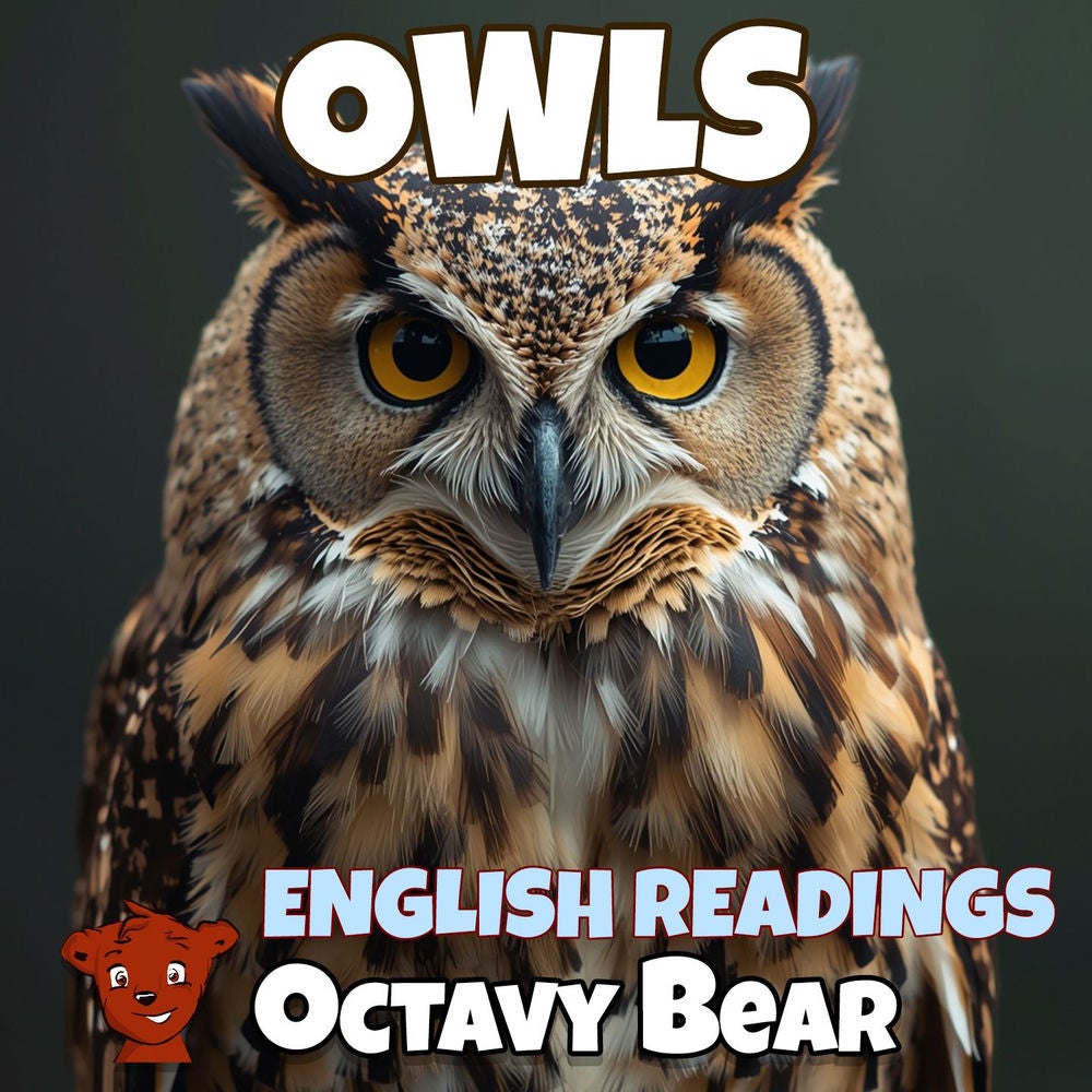 Owls