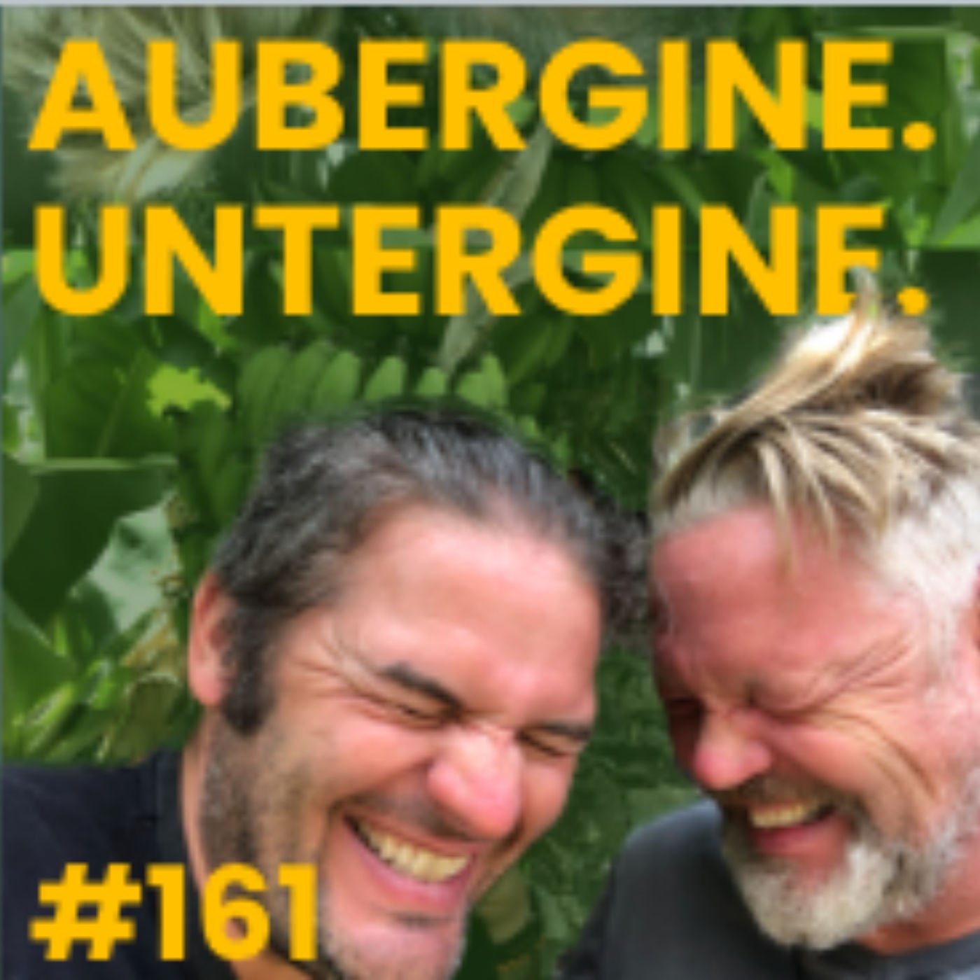 #161 Aubergine. Untergine.