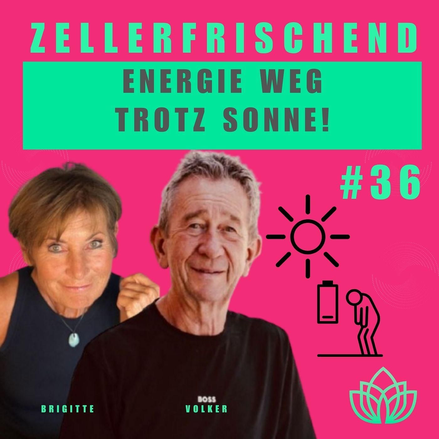 Zellerfrischend - Frühjahrsmüdigkeit. Harmlos oder Warnsignal? #36