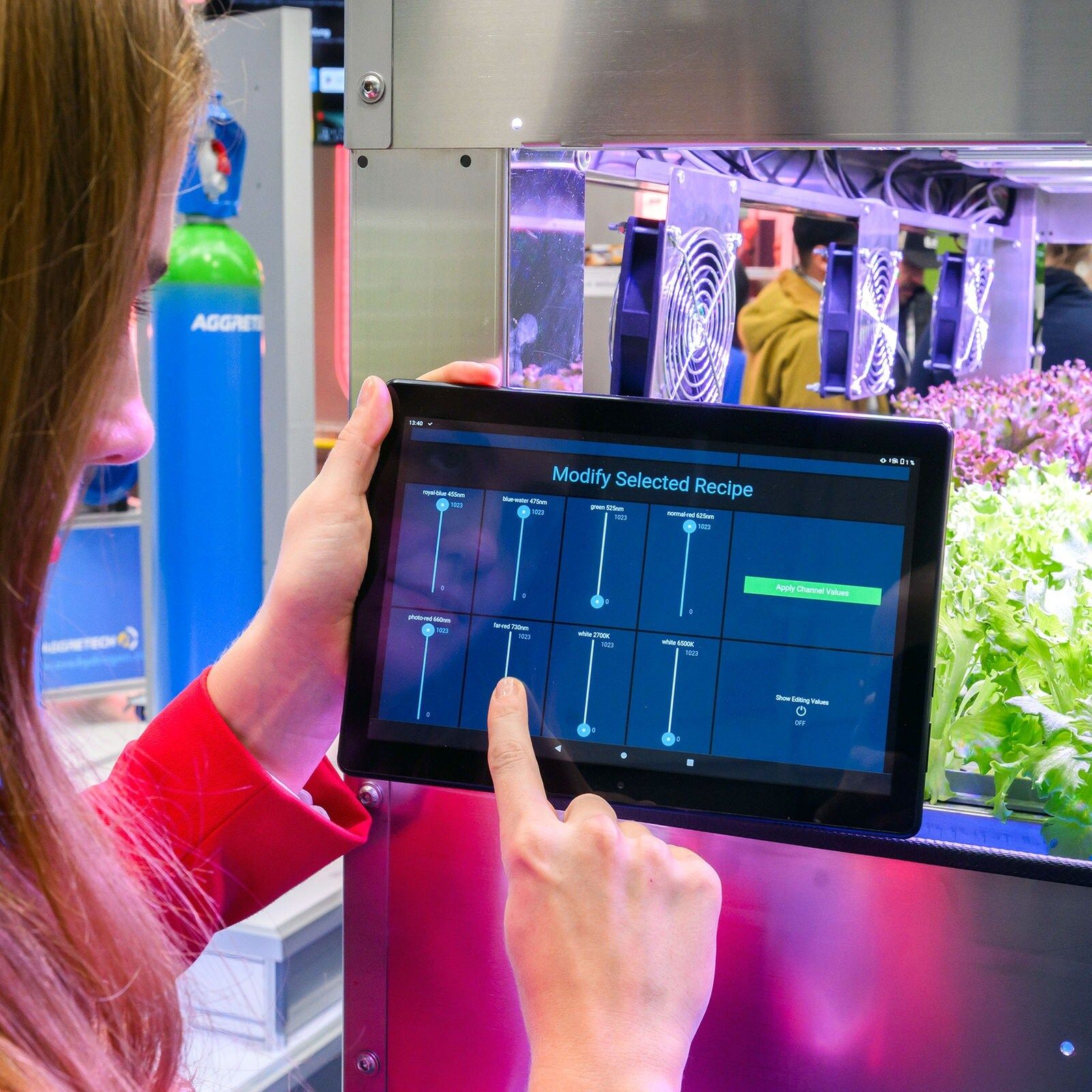 Urban Farming: Gemüseanbau auch in der Stadt?