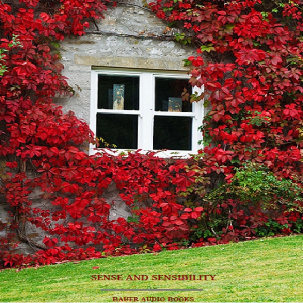 Sense and Sensibility (By Jane Austen)