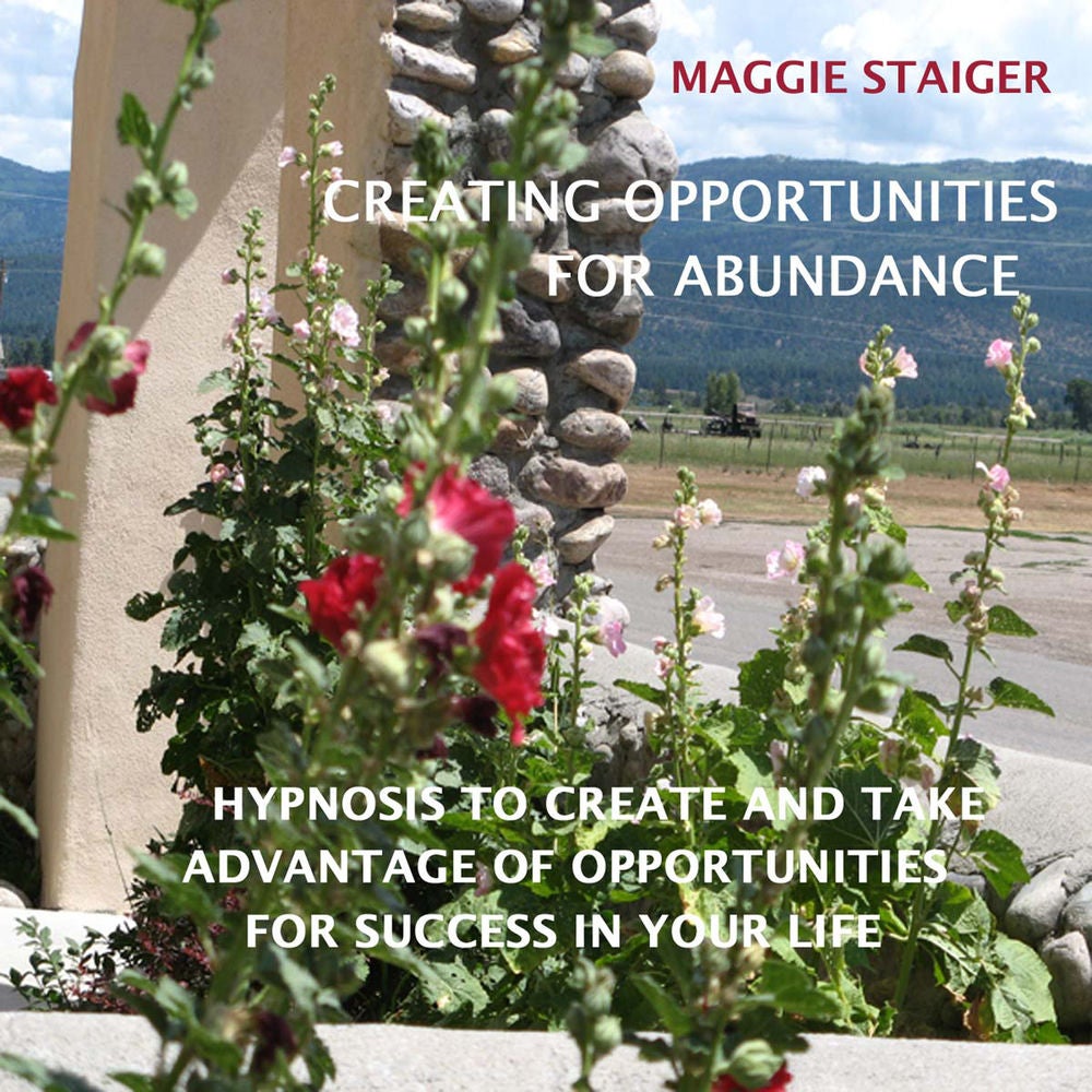 Creating Opportunities for Abundance - Hypnosis to Create and Take Advantage of Opportunities for Success in Your Life